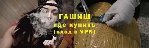 индика Волоколамск