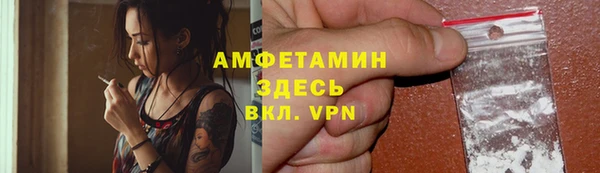 индика Волоколамск