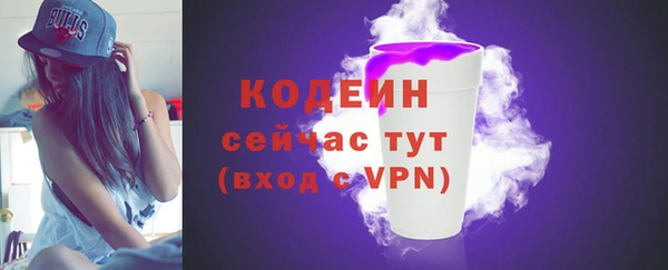 мдпв Рославль