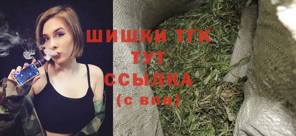 индика Волоколамск