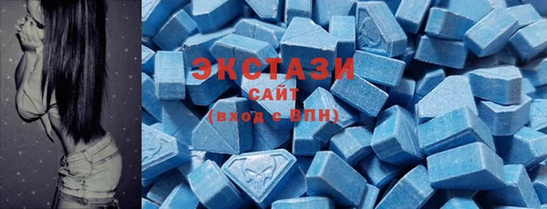 индика Волоколамск