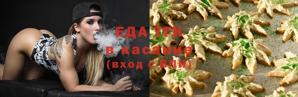 индика Волоколамск