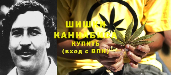 индика Волоколамск