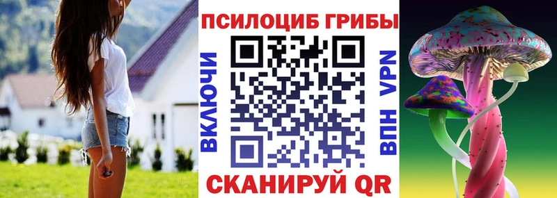 Псилоцибиновые грибы мицелий Добрянка