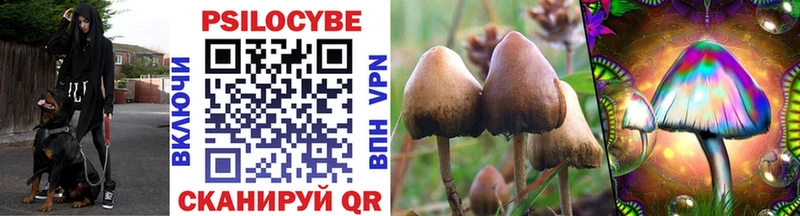 Галлюциногенные грибы Cubensis  цены   Добрянка 