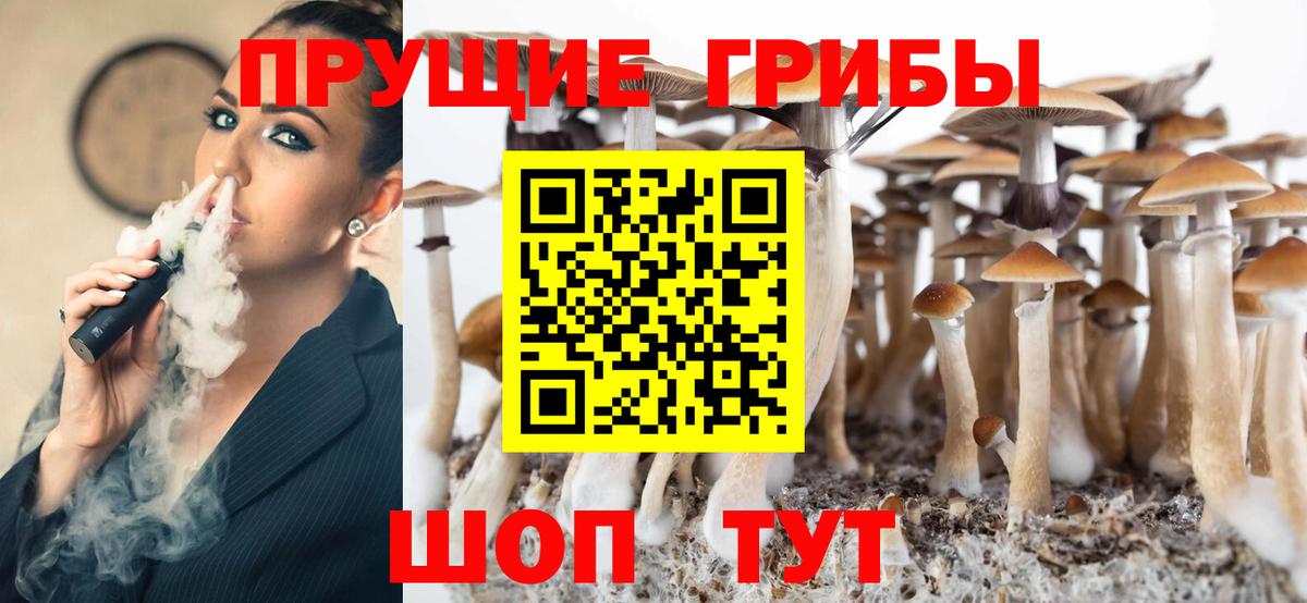 Галлюциногенные грибы Psilocybe Добрянка