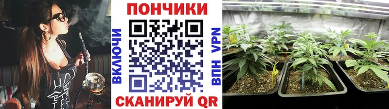 Канабис конопля  Добрянка 